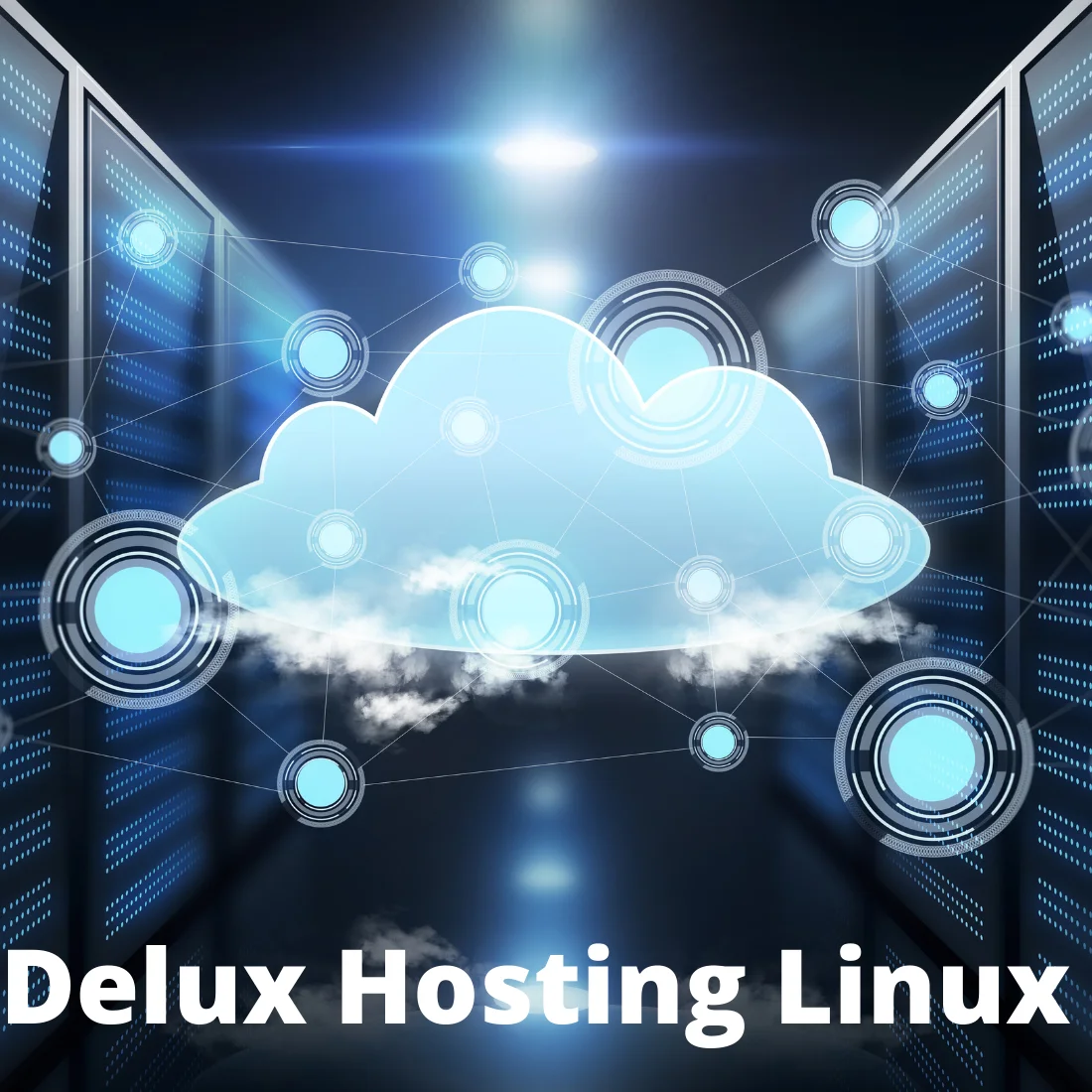Linux Web Hosting (Delux)